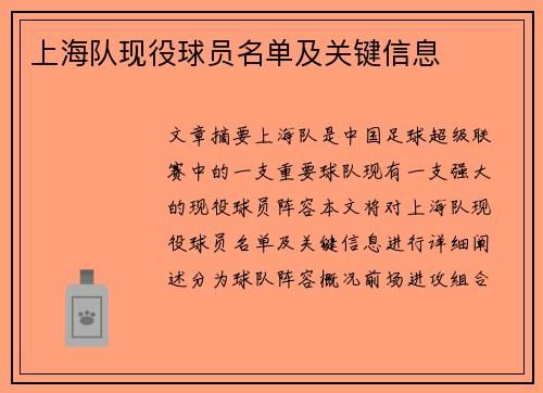 上海队现役球员名单及关键信息